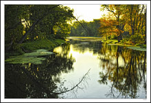 Reflections In A Green Island Waterway II