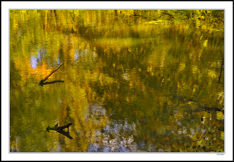 A Gentle Breeze Creates A Stained Glass Pond