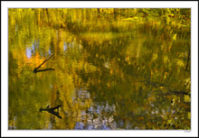 A Gentle Breeze Creates A Stained Glass Pond