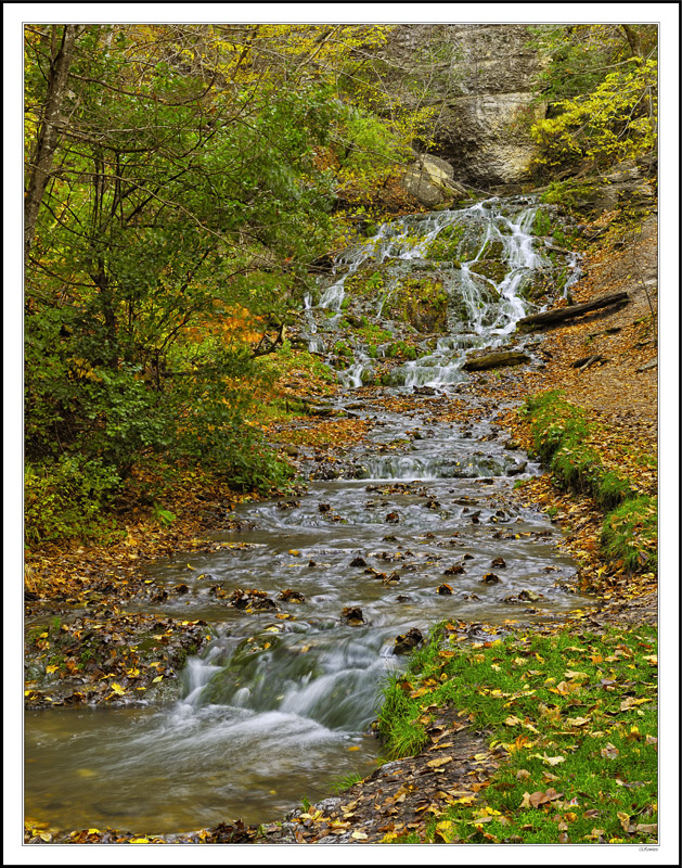 Dunnings Springs Unfailing Flow Washes Through Autumn I