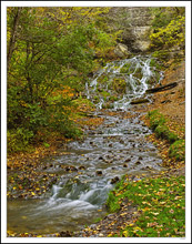 Dunnings Springs Unfailing Flow Washes Through Autumn I