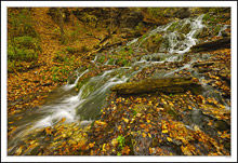 Dunnings Springs Unfailing Flow Washes Through Autumn II