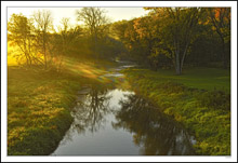 Dawn's Light Refracts Through Yellow River Bank Foliage