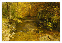 Peas Creek Trickles Through Autumn's Glow