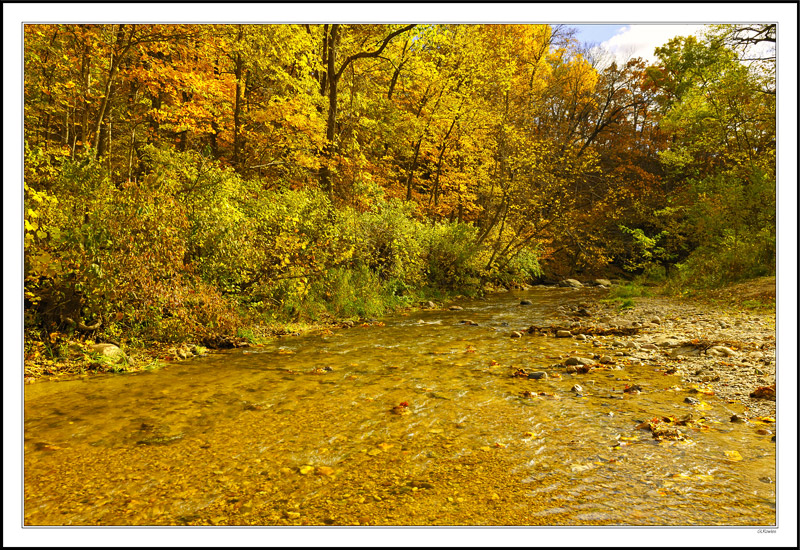 Panning For Autumn Gold In Peas Creek