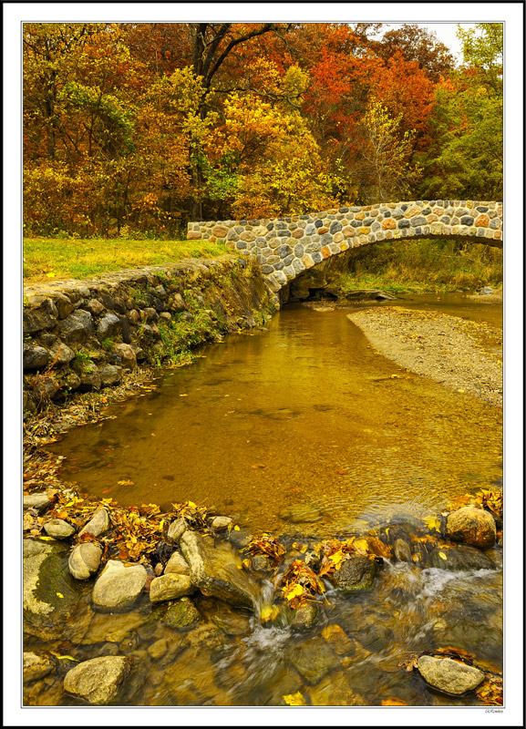 A Child-Engineered Dam Captures the Fallen Colors