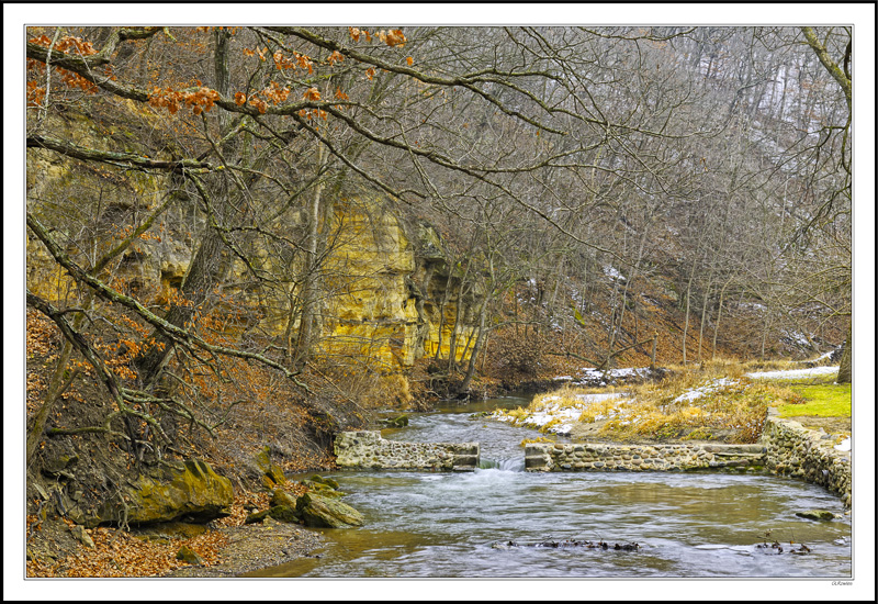 Autumn's Residue Of Reds, Browns and Golds Enlivens The Winter Scene