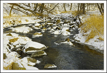 Springbrook Creek Idles Through The Snowy Rockscape