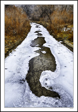 Paisley Ice Patterns Frame A Ghostly Image