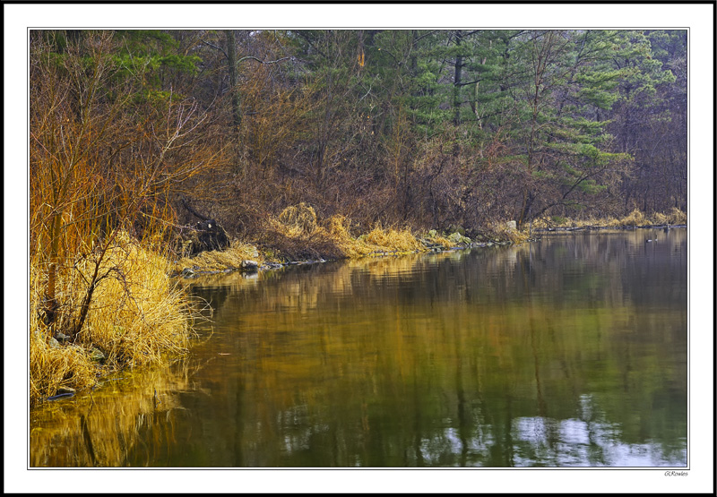 Golden Winter Afterglow