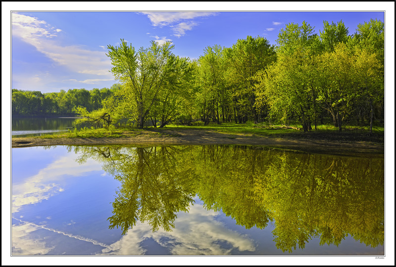 Deep Spring Colors I