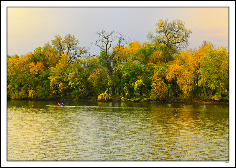 Autumn Row