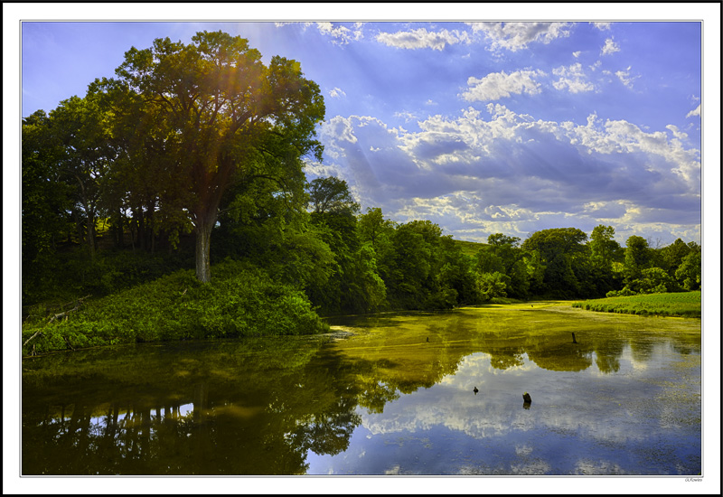 Nature's Mirror