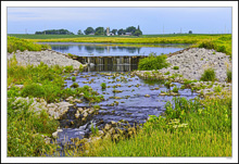 Pastoral Waters