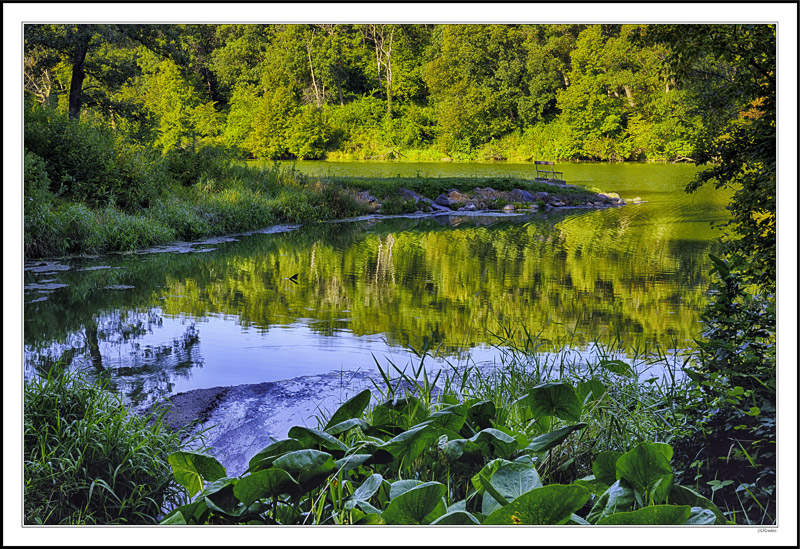 Mirror Cove