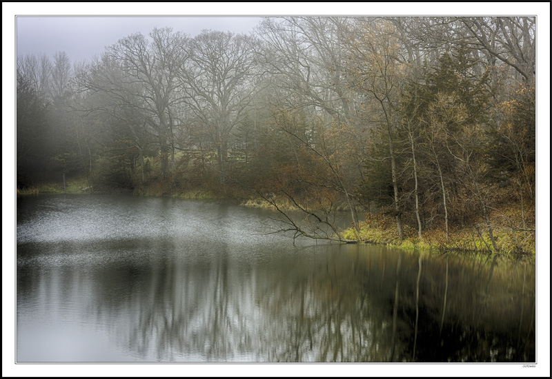 Shrouded Shoreline Reflections