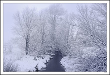 Frosted Stream I