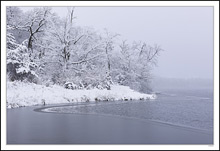 The Freeze  Imposes On The Lake's Edge