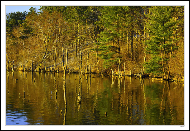 Spring Shoreline II