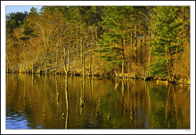 Spring Shoreline II