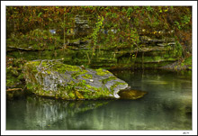 Platypus Rock