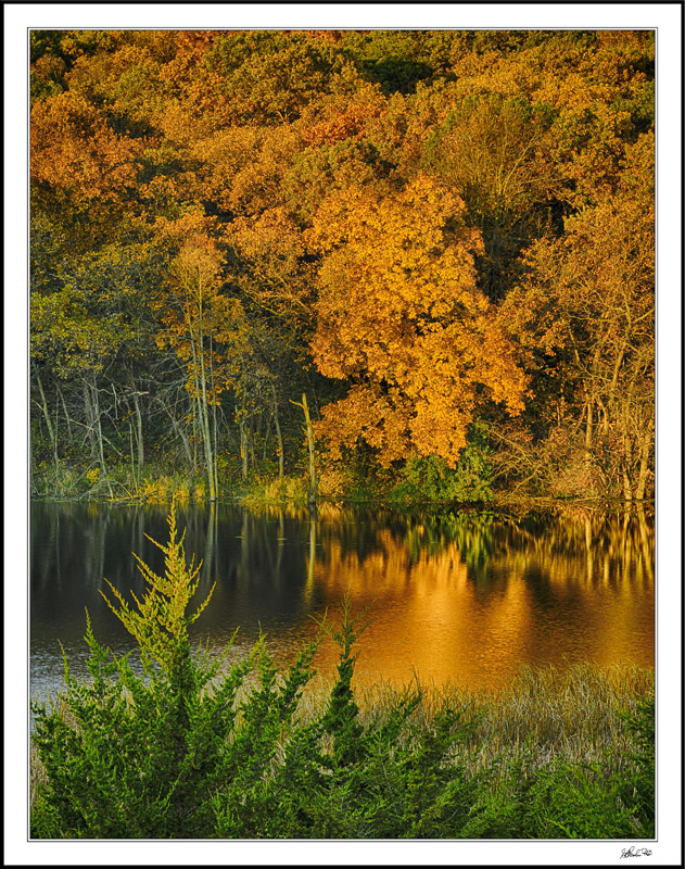 Vibrant Autumn Dawn