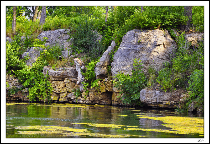 Verdant Bluff