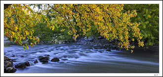 Golden Rapids II