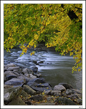 Rapids Path