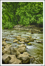 Pathway Rapids