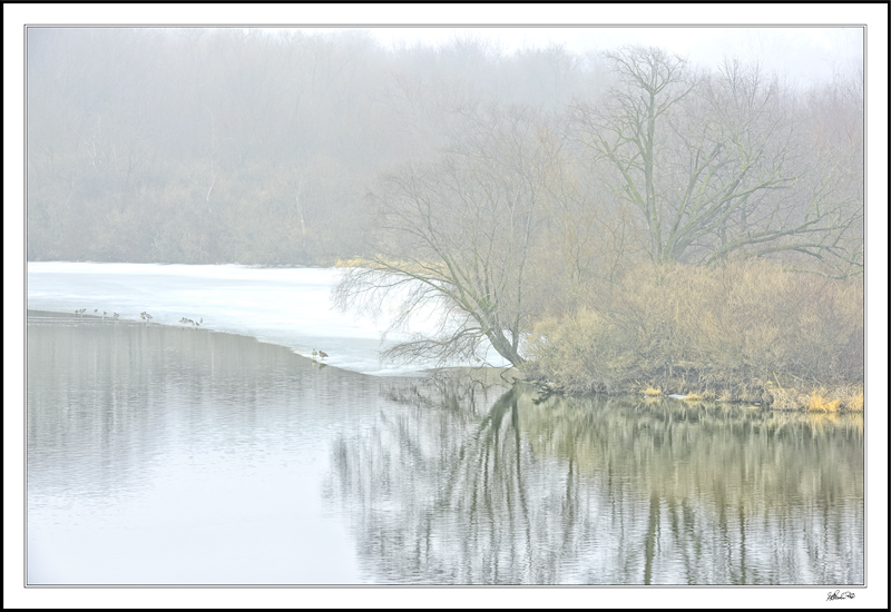 Winter Ice Slowly Recedes