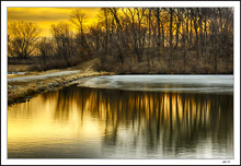 Dawn's Golden Light Creates Vibrant Reflections On Briggs Woods Lake