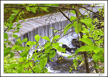 Waterfall On Deer Creek
