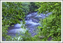 Falls At Briggs Woods IV
