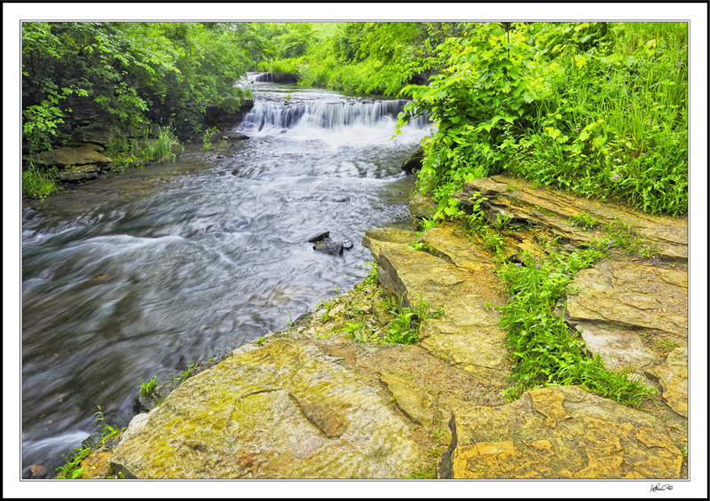 Falls At Briggs Woods V
