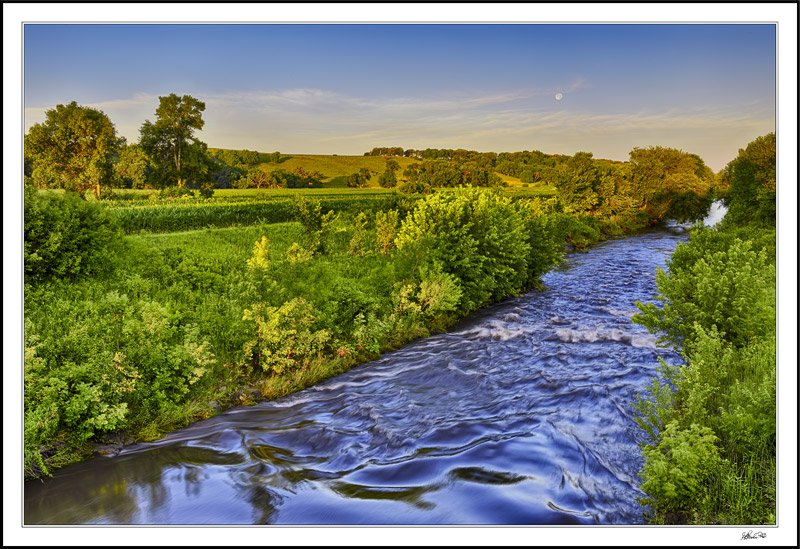 Swollen River Rushes
