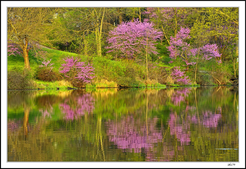 Idyllic Reflections II
