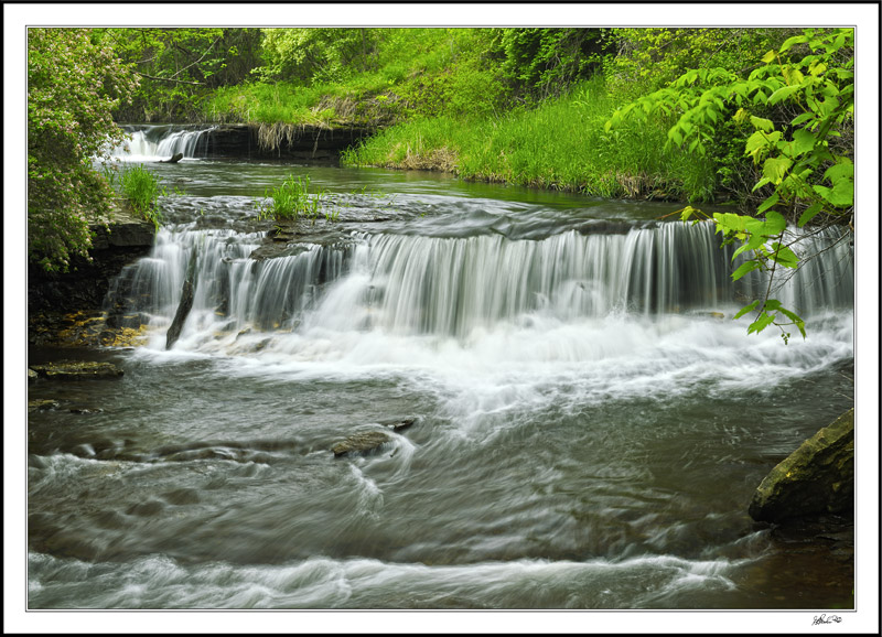 Falls At Briggs Woods I
