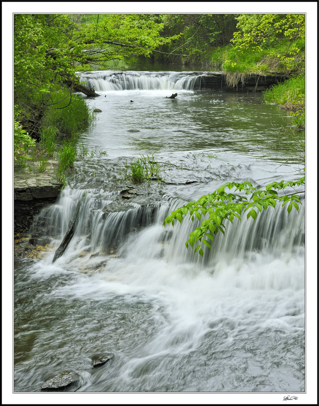 Falls At Briggs Woods II
