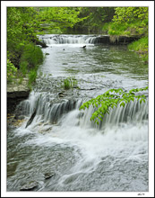 Falls At Briggs Woods II
