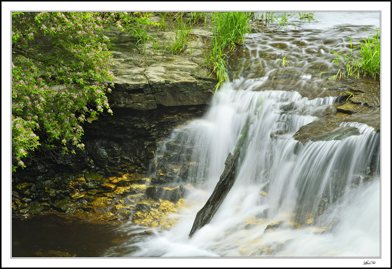 Falls At Briggs Woods III
