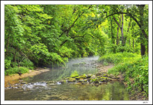 Fenchel Creek Mists