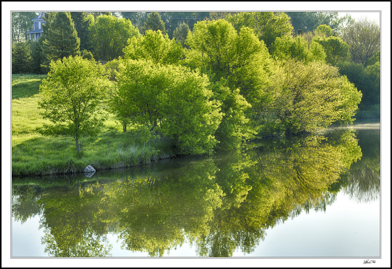 Lakeside Reflections I