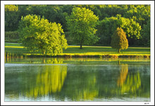Lakeside Reflections II
