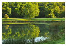 Lakeside Reflections III