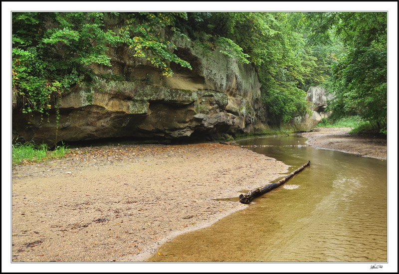 Pea's Creek Winds Through Canyon Bluffs