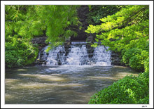 Trout Run Creek Falls