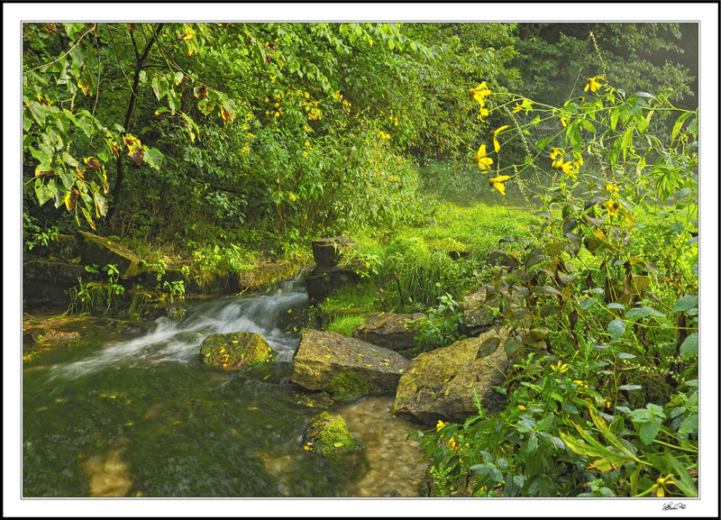 Spring Waters Spill Into Fenchel Creek