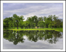 Quiet Reflections