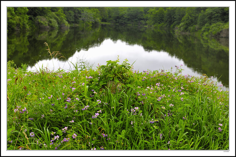 Natural Symmetry